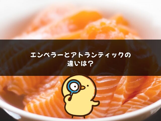 エンペラーサーモンとアトランティックサーモンの違いは？