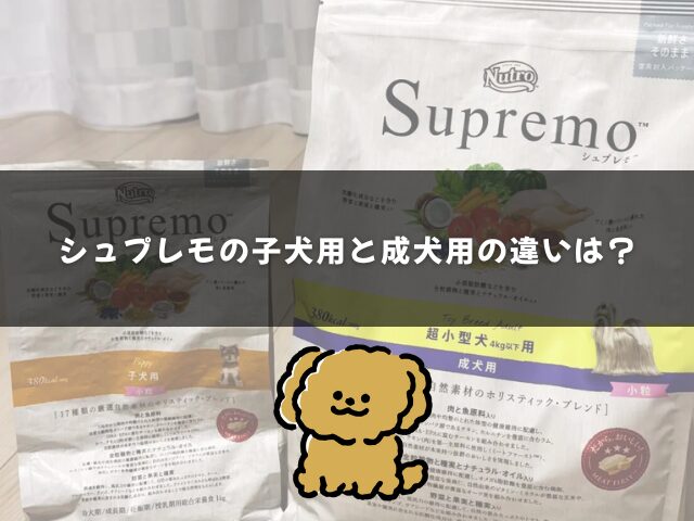 シュプレモ子犬用と成犬用の違いを徹底解説