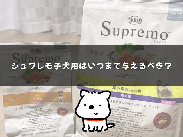 シュプレモ子犬用はいつまで与えるべき？