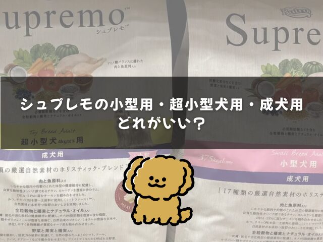 シュプレモ小型・超小型犬と成犬用はどっちがいい？